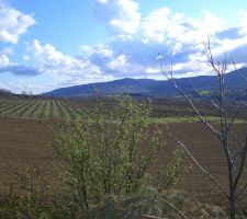 Vue et choix du terrain