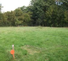 Choix du terrain... pas facile de penser &agrave; "comment ce sera d'ici 10 ans ici" !
mais apr&egrave;s r&eacute;flexions... marre des scooters, de la circulation, des sorties de boites de nuit !
donc l&agrave;, &agrave; la campagne et coll&eacute; contre la for&ecirc;t... je pense que &ccedil;a ira pour les ann&eacute;es restantes !  :-)