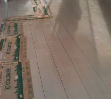 Carrelage en cours (imitation parquet)