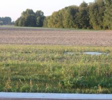 Notre terrain vierge