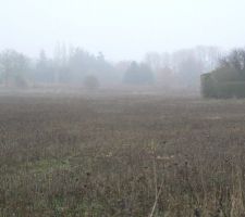 La-bas au fond du champ, sur la gauche, notre futur terrain.