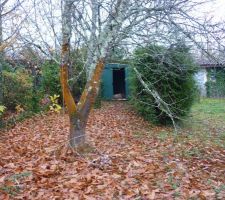 Vue vers la cabane de jardin