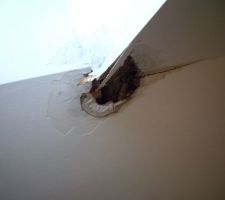 Velux 1er etage