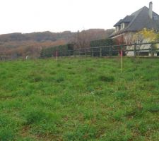 Voici les pickets pour l'implantation de la maison. COTE DROIT.