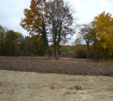 Vue g&eacute;n&eacute;rale du terrain avant le bornage