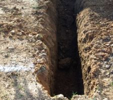 Premi&egrave;re tranch&eacute;e