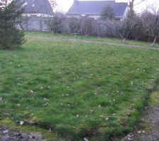 2eme du terrain
beaucoup de fruitiers à supprimer sniff
2 cerisiers qqs pommiers et poiriers et un noisetiers
pas le choix dommage !!!