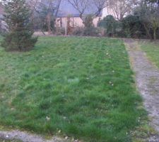 Voici notre projet qui n'en est plus un car nous avons emménagé en novembre 2008
voici le terrain debut 2008