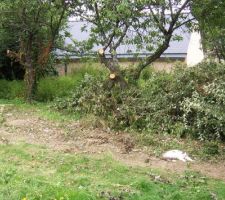 Les cerisiers qui vont disparaitre
une petite cabane en beton qui servait de poulailler et que l on a decidé de garder pour faire un abri jardin
on l habillera de clematites et jasmin plus tard