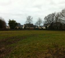 Voici le terrain choisi, avec les arbres..