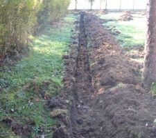 Tranchée doublant la haie sur rue, destinée à une plantation de buis