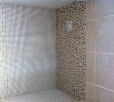 LE FOND DE DOUCHE EN MOSAIQUE ET LA FAIENCE DE LA PETITE SALLE DE BAINS