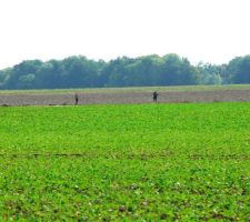 La chasse est ouverte ...