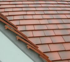 Ect centre : il est pas beau le panaché de tuiles !!!