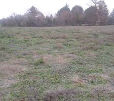 Signature du sous seing pour le terrain (2000m2) aujourd'hui.