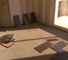 &Ccedil;a va coller !