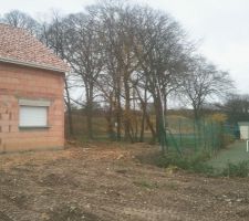 Vue pour végétaux