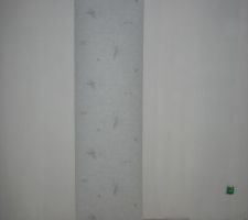 Essaie papier peint et parquet