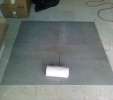 Carrelage de sol parties communes