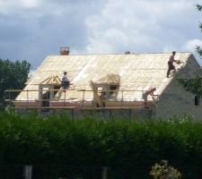 Travaux de litonnage vus des terrains avoisinants, coté est