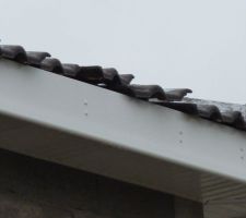 Après la tempête, pas grand chose à signaler...