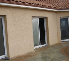 Crepi  J10  de Parex lanko  ( jaune orange )