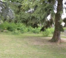 Le terrain vu de derriere car il y une maison devant a la place du sapin on imagine la descente du sous sol