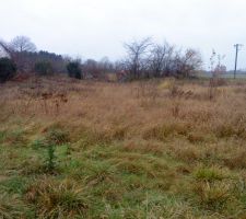 Et voil&agrave; mon homme en plein d&eacute;frichage !