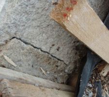 Ect centre : Vous avez dit fissure !!!