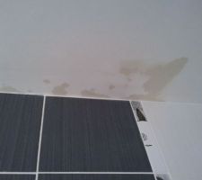 Infiltration d'eau dans la sdb du rdc.