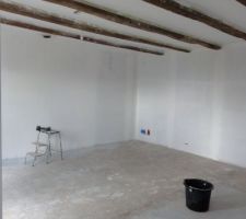 Salon, Plafond peint en blanc, sous couche sur mur