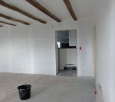 Salon, Plafond peint en blanc, sous couche sur mur