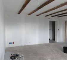 Salon, Plafond peint en blanc, sous couche sur mur