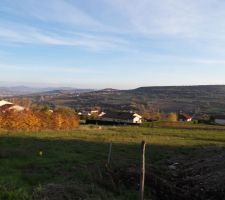 Terrain Vue d'ensemble