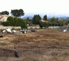 Apres le passage du tracto, terrain nickel