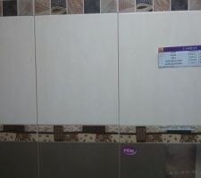 J'h&eacute;site entre les 2 frises...