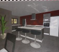 Notre future cuisine! Mais les couleurs ne sont pas tout à fait exacte : Meubles couleurs wengé et plan de travail blanc