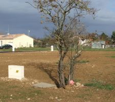 Vu du terrain sur le chemin