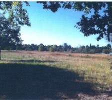 Photo n&deg;2  de notre  terrain