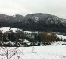 Vue arriere hiver 2011