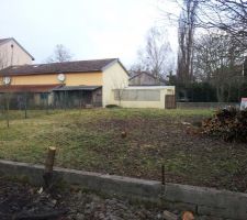 Le noyer est coup&eacute; - il &eacute;tait bien beau mais arrivait au milieu du salon...