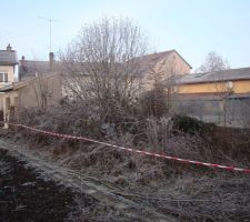 Pendant - les ronces