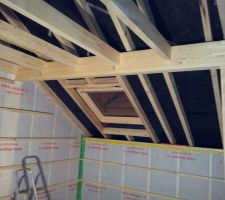 Velux de la salle de bain...posé!