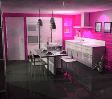 Notre futur cuisine.