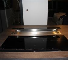 Hotte en cours de montée