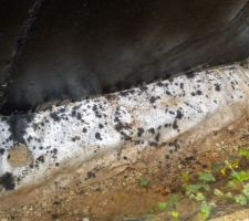 Geotextile type dalmatien ????