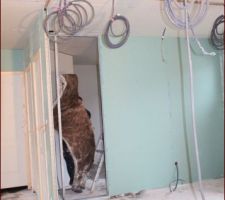 Pose des cloisons de la salle de bain en cours