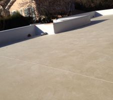 Etanchéité des toitures végétalisées terminée : membrane pvc sika
