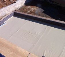 Etanchéité des toitures végétalisées : membrane SIKA