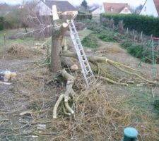 Nettoyage du terrain.